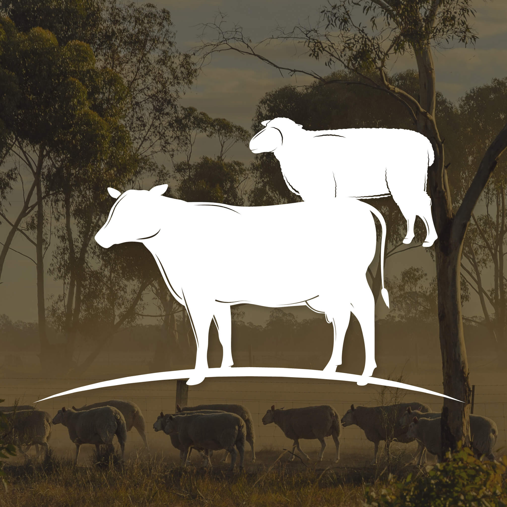 white cow and sheep icon